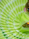 Vritika Green Light Laddu Gopal Gol Poshak thumbnail 5