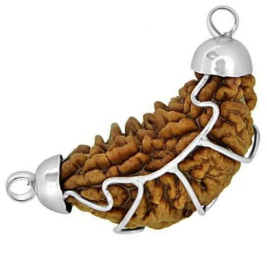 1 Mukhi Rudraksha (SILVER PENDANT ) product image
