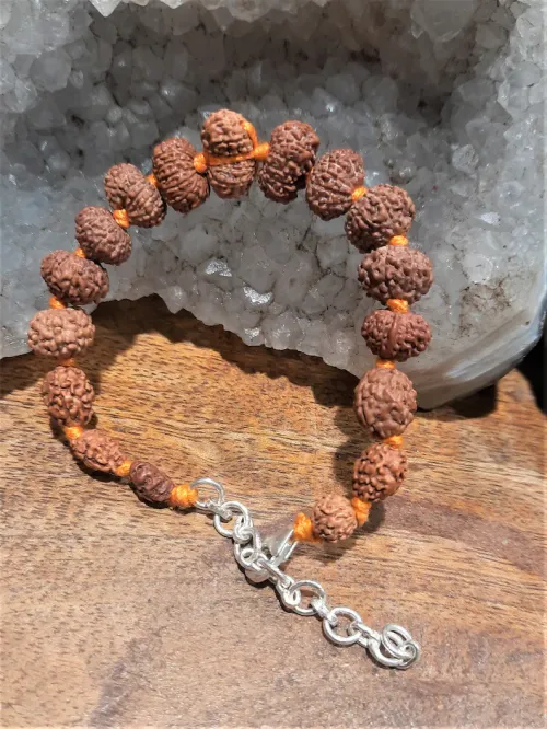 1 to 14 Mukhi Rudraksha Bracelet