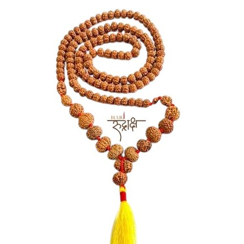 1 to14 Mukhi Indonesia Siddha Mala with Gauri Shankar Rudraksha