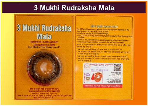 3 Mukhi Rudraksha Mala Indonesian