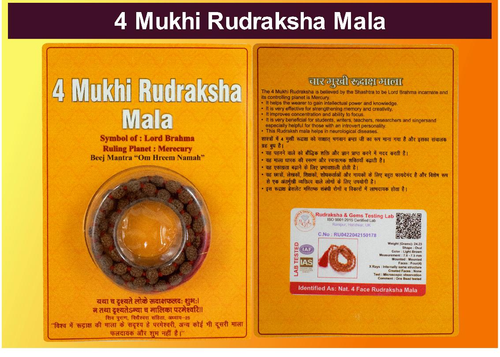 4 Mukhi Rudraksha Mala Indonesain