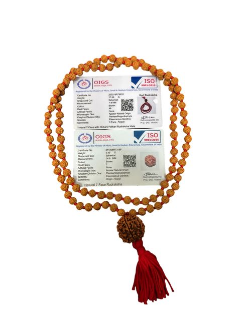 5 mukhi Chikna Pathri Mala with 7 Mukhi Nepal Rudraksha