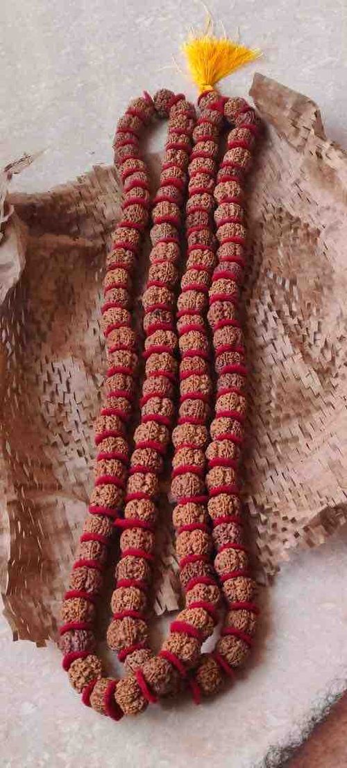 5 Mukhi Rudraksha Kantha Mala 108+1 Beads