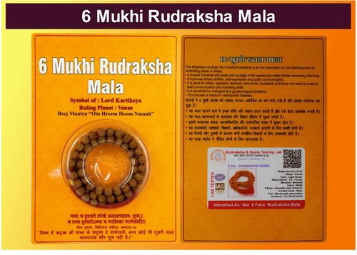 6 Mukhi Rudraksha Mala Indonesian