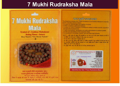 7 Mukhi Rudraksha Mala Indonesian