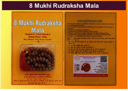 8 Mukhi Rudraksha Mala Indonesian