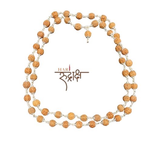 Rudraksha mala in Pure Silver 54+1 beads