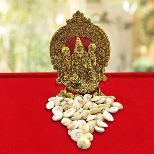Gomati Chakra Original (12 Pcs) 100% Natural & Real Chakra of Gomti River