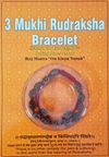3 Mukhi Bracelet Java thumbnail 1