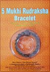 5 Mukhi Bracelet Java (1 Bead Nepal ) thumbnail 1