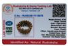 Rudraksha Energy Bracelet thumbnail 3