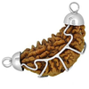 1 Mukhi Rudraksha (SILVER PENDANT ) thumbnail 1