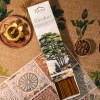 Cedar Incense Sticks | Agarbatti - Devdaar thumbnail 2