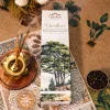 Cedar Incense Sticks | Agarbatti - Devdaar thumbnail 4
