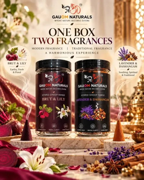 Hybrid Fragrance Dhoop Cones Pack of 2 - Brut & Lily, Lavender and Dashangam