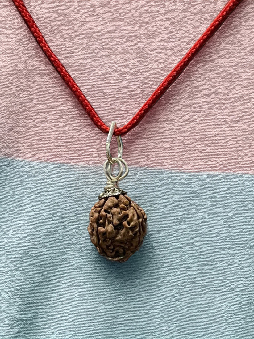 4 Mukhi Nepali Rudraksha - Chaar Mukhi product image