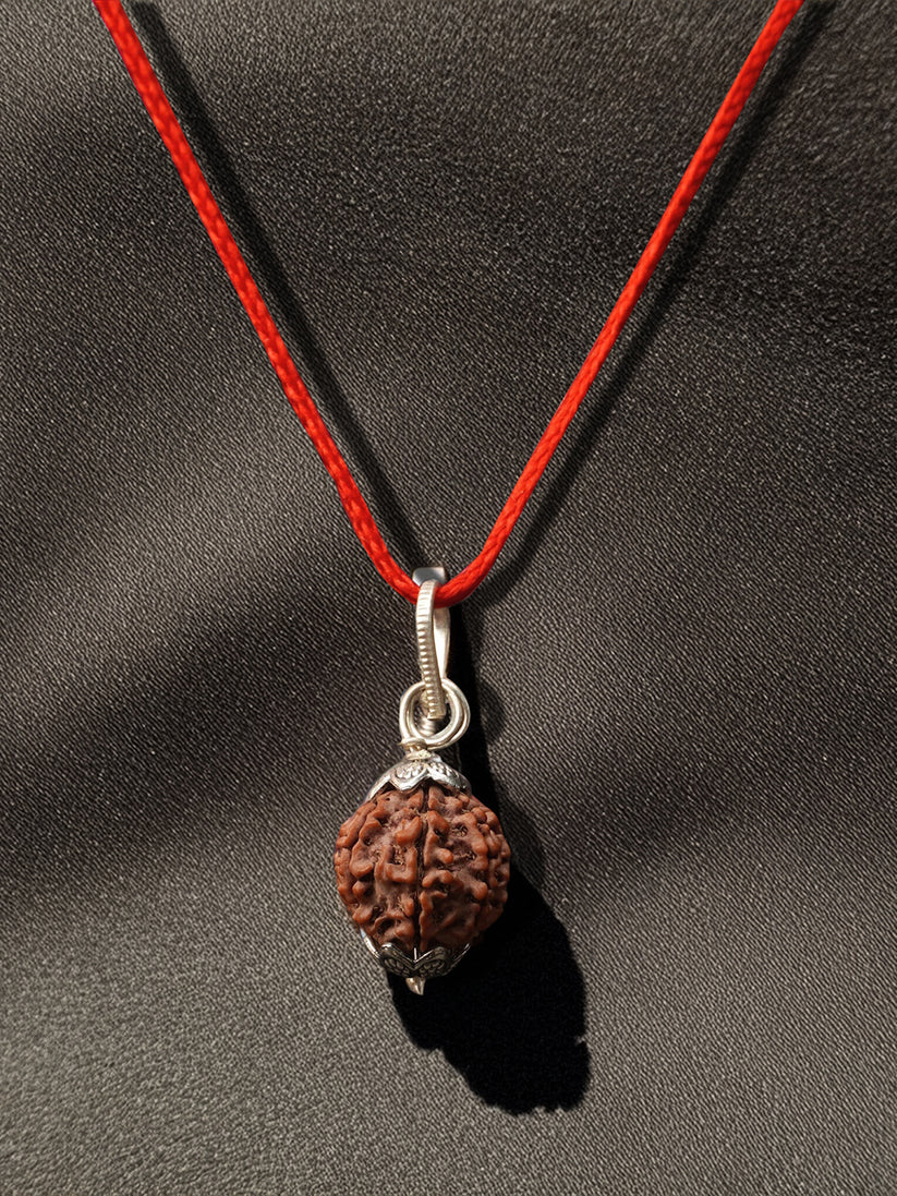 7 Mukhi Nepali Rudraksha - Saat Mukhi product image
