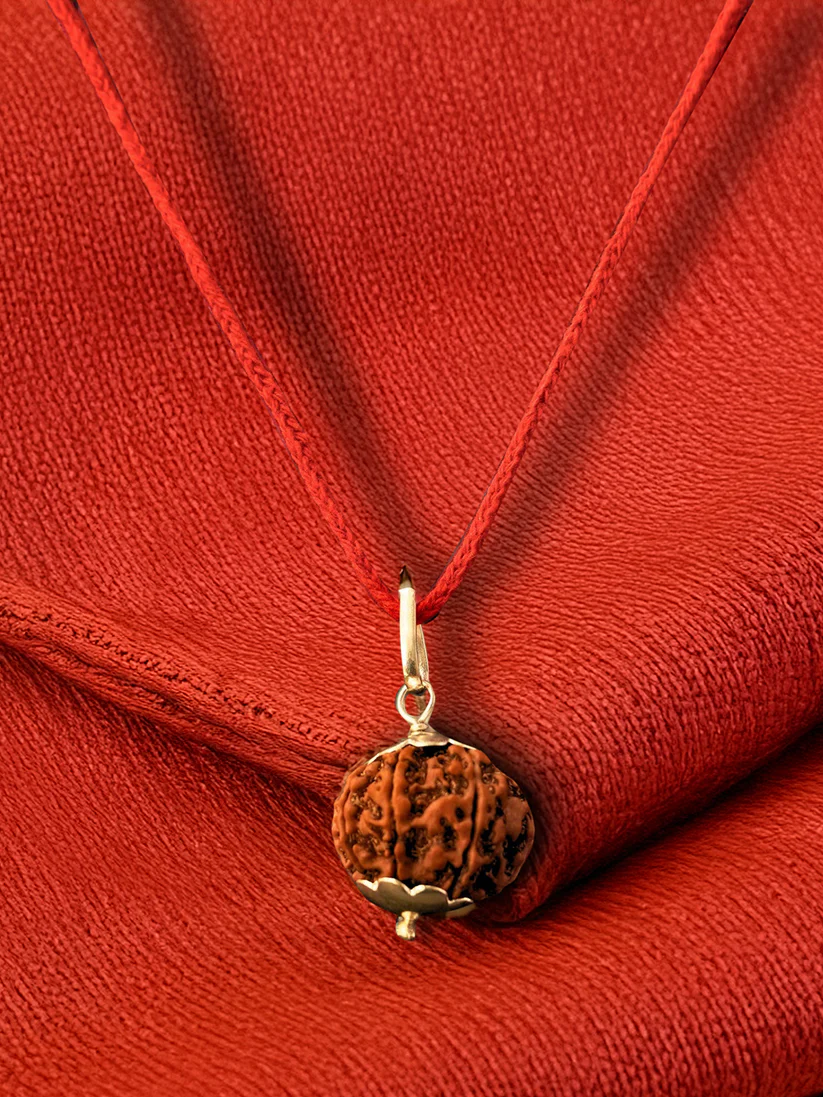 9 Mukhi Nepali Rudraksha - Nau Mukhi product image
