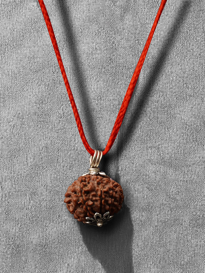 10 Mukhi Nepali Rudraksha - Das Mukhi product image