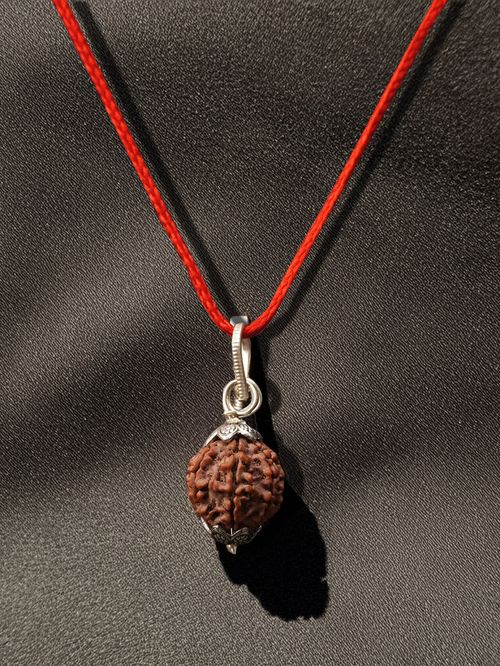 7 Mukhi Nepali Rudraksha - Saat Mukhi