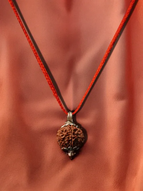 8 Mukhi Nepali Rudraksha - Aath Mukhi