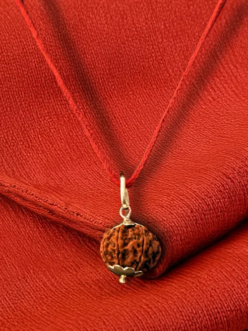 9 Mukhi Nepali Rudraksha - Nau Mukhi