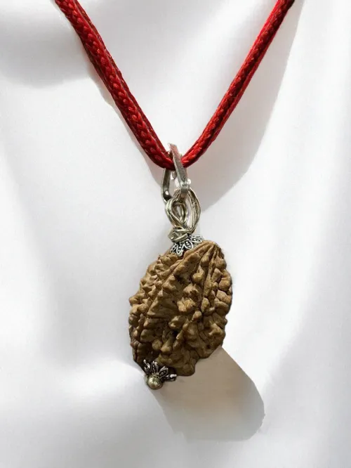 2 Mukhi Nepali Rudraksha - Do Mukhi