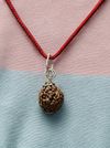 4 Mukhi Nepali Rudraksha - Chaar Mukhi thumbnail 1