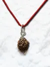 4 Mukhi Nepali Rudraksha - Chaar Mukhi thumbnail 3