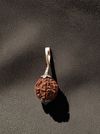 7 Mukhi Nepali Rudraksha - Saat Mukhi thumbnail 3