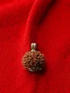 8 Mukhi Nepali Rudraksha - Aath Mukhi thumbnail 2