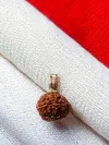 8 Mukhi Nepali Rudraksha - Aath Mukhi thumbnail 3