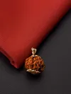 9 Mukhi Nepali Rudraksha - Nau Mukhi thumbnail 2