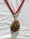 2 Mukhi Nepali Rudraksha - Do Mukhi thumbnail 2