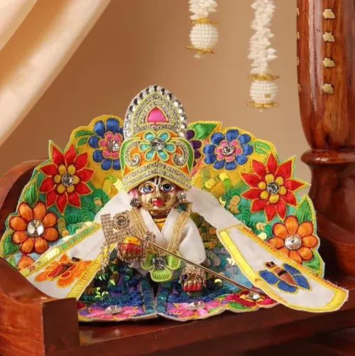 Pushpavan Handpainted Multicolor Ladoo Gopal Poshak