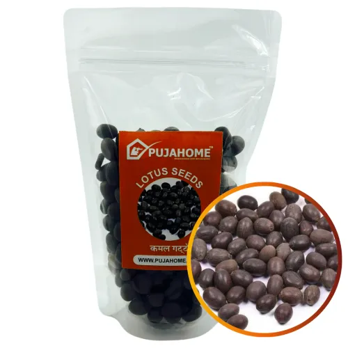 Pujahome Kamal Gatta | Nelumbo Nucifera Gaertn - Lotus Seeds for Puja (1000 Gram Pack)