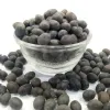 Pujahome Kamal Gatta | Nelumbo Nucifera Gaertn - Lotus Seeds for Puja (500 Gram Pack) thumbnail 4