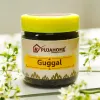 Pujahome Guggal (Pure, Natural) Commiphora Guggal (80 gram Box) thumbnail 1