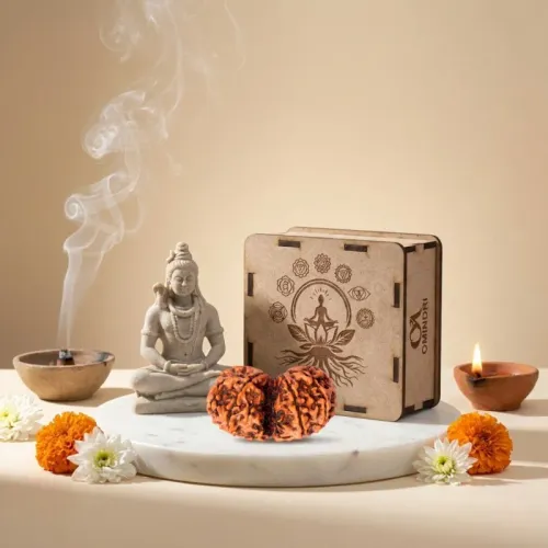 Gauri Shanker Napali Lab Certified Rudraksha